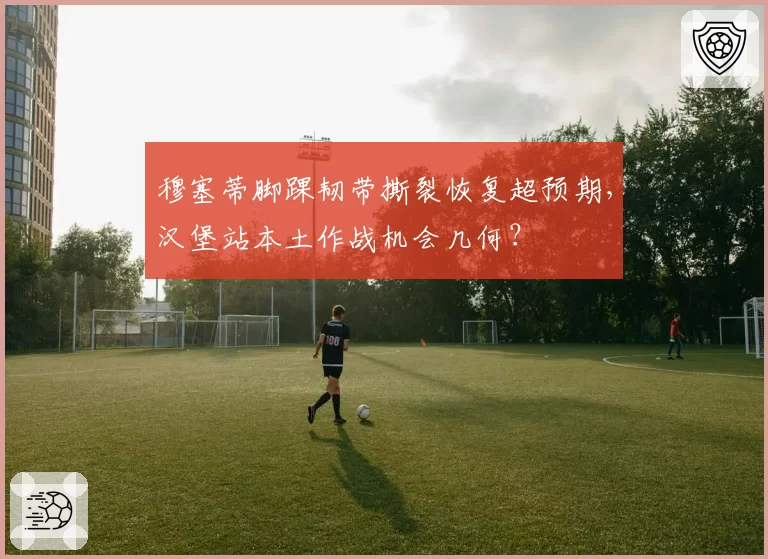 穆塞蒂脚踝韧带撕裂恢复超预期，汉堡站本土作战机会几何？