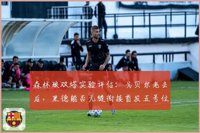 森林狼双塔实验评估：戈贝尔老去后，里德能否无缝衔接首发五号位？