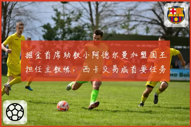 掘金首席助教小阿德尔曼加盟国王担任主教练,西卡交易成首要任务